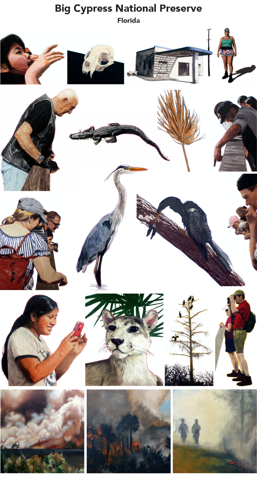 Big Cypress National Preserve