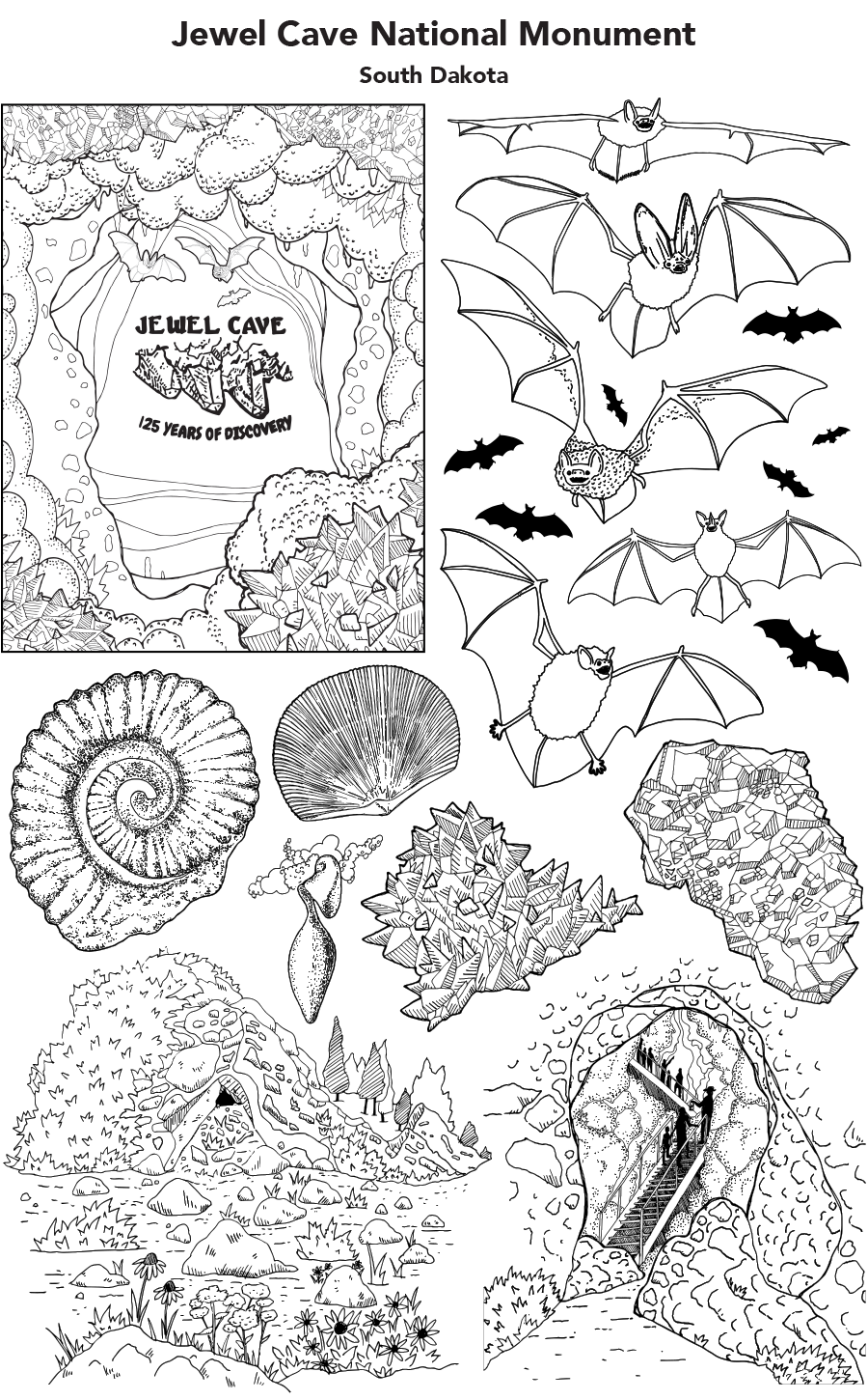 Jewel Cave National Monument